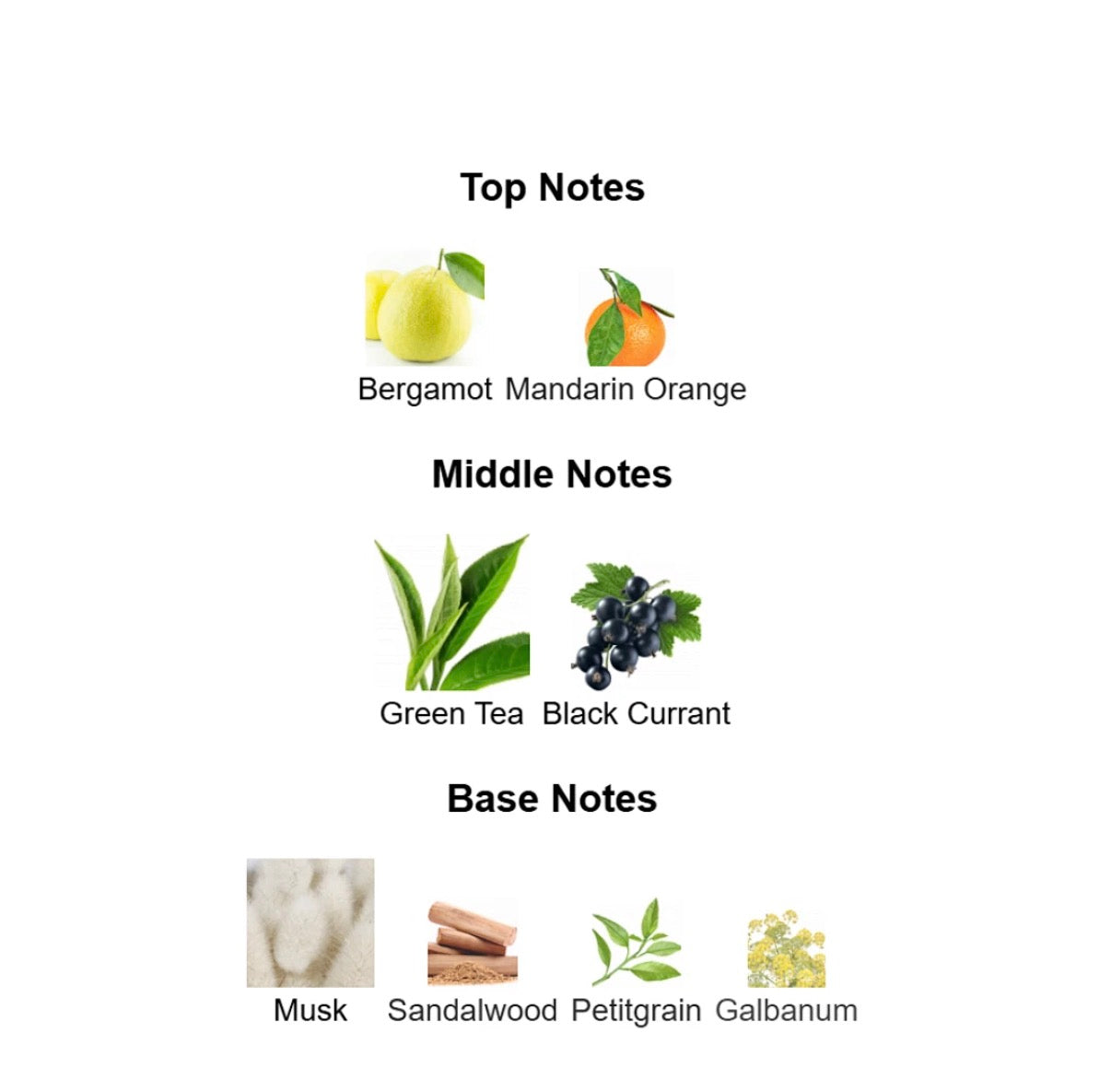 Creed Silver Mountain Water 3.3 oz EDP Cologne for Men Brand New